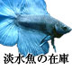 W̍݌